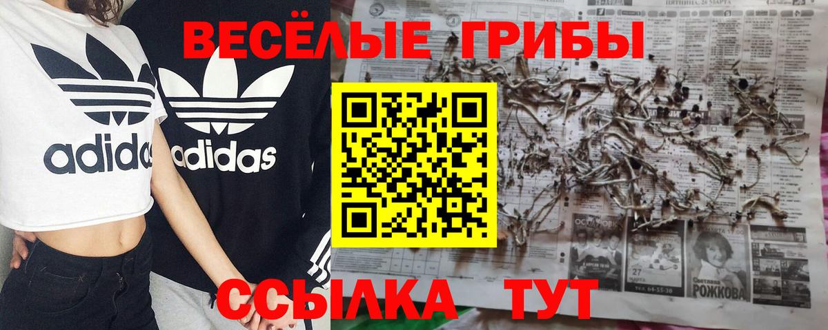 Галлюциногенные грибы Magic Shrooms  Вход с VPN  Муром 